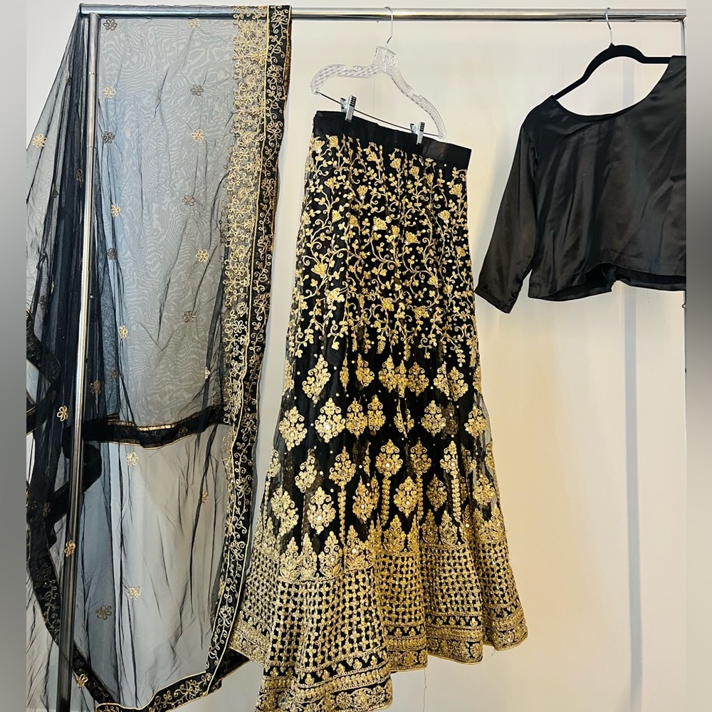 Brand New Pakistani / Indian Lehenga